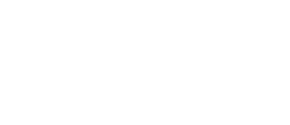 Logo of Horizon Immigration Institute featuring a stylized torch with a flame, stars, and a rising sun over a horizon, beside the institute name